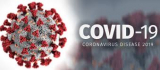 Misure per il contrasto e il contemimento sull'intero territorio nazionale del diffondersi del virus COVIS-19 - Sospensione attivit